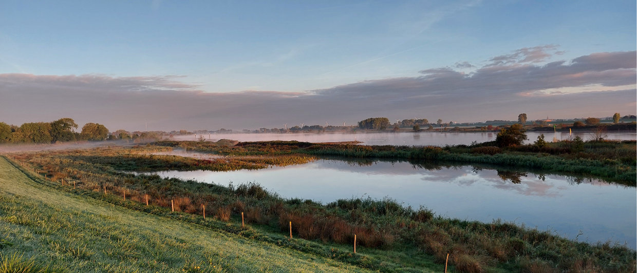 WahS_Seizoen 2023_Dauwtrappen_Web